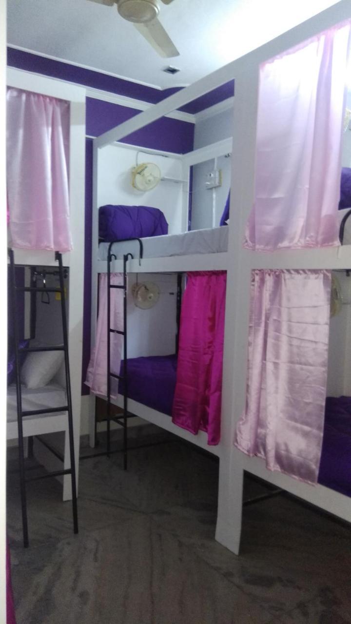 Farmstay - Capsule Den Yeni Delhi Dış mekan fotoğraf